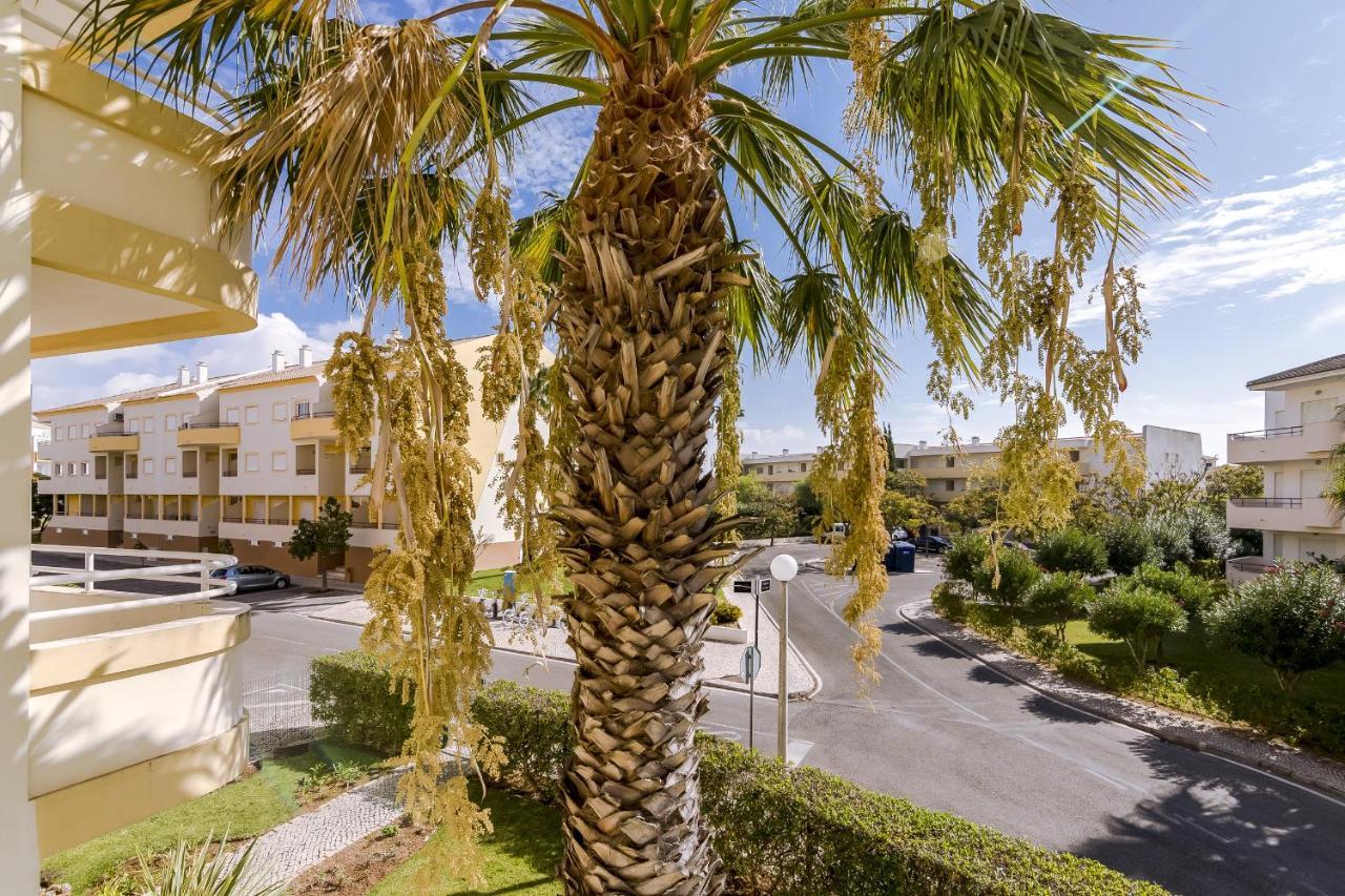 Amazing 1 Bedroom Apartment Near Marina Vilamoura Ngoại thất bức ảnh